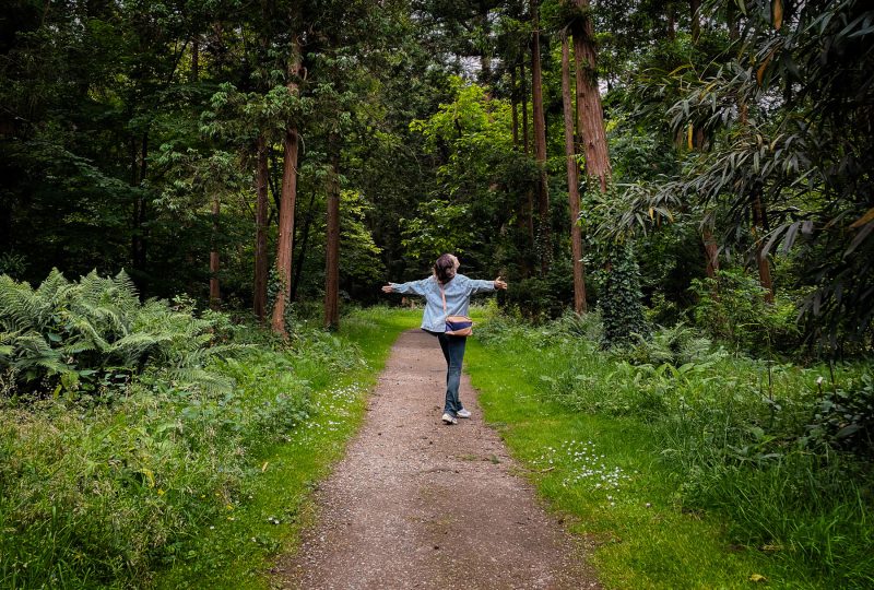 AlleenopvakantieinNederland-009