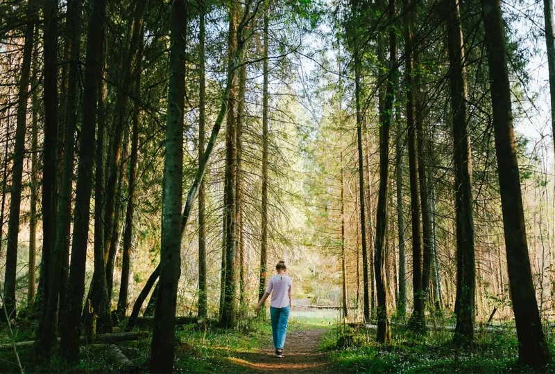 AlleenopvakantieopdeVeluwe