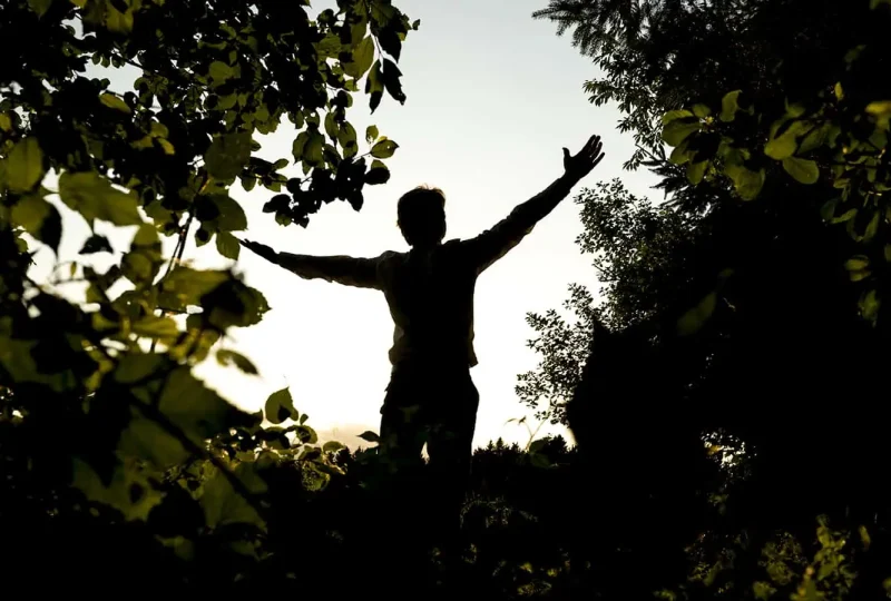 Ontspannenopdeveluwe