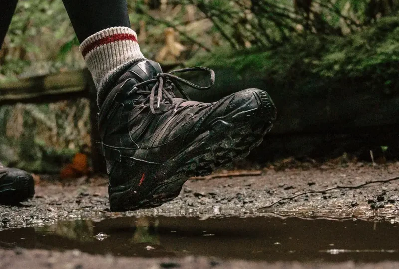 WandelvakantieinNederland